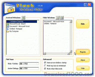 Flash Windows Hider screenshot